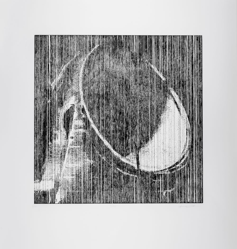Dish (black and white)